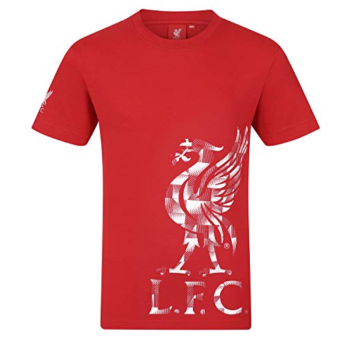 Liverpool FC - Kinder T-Shirt mit Grafik-Print - Offizielles Merchandise - Geschenk für Fußballfans - Rot - 8-9 Jahre von Liverpool FC