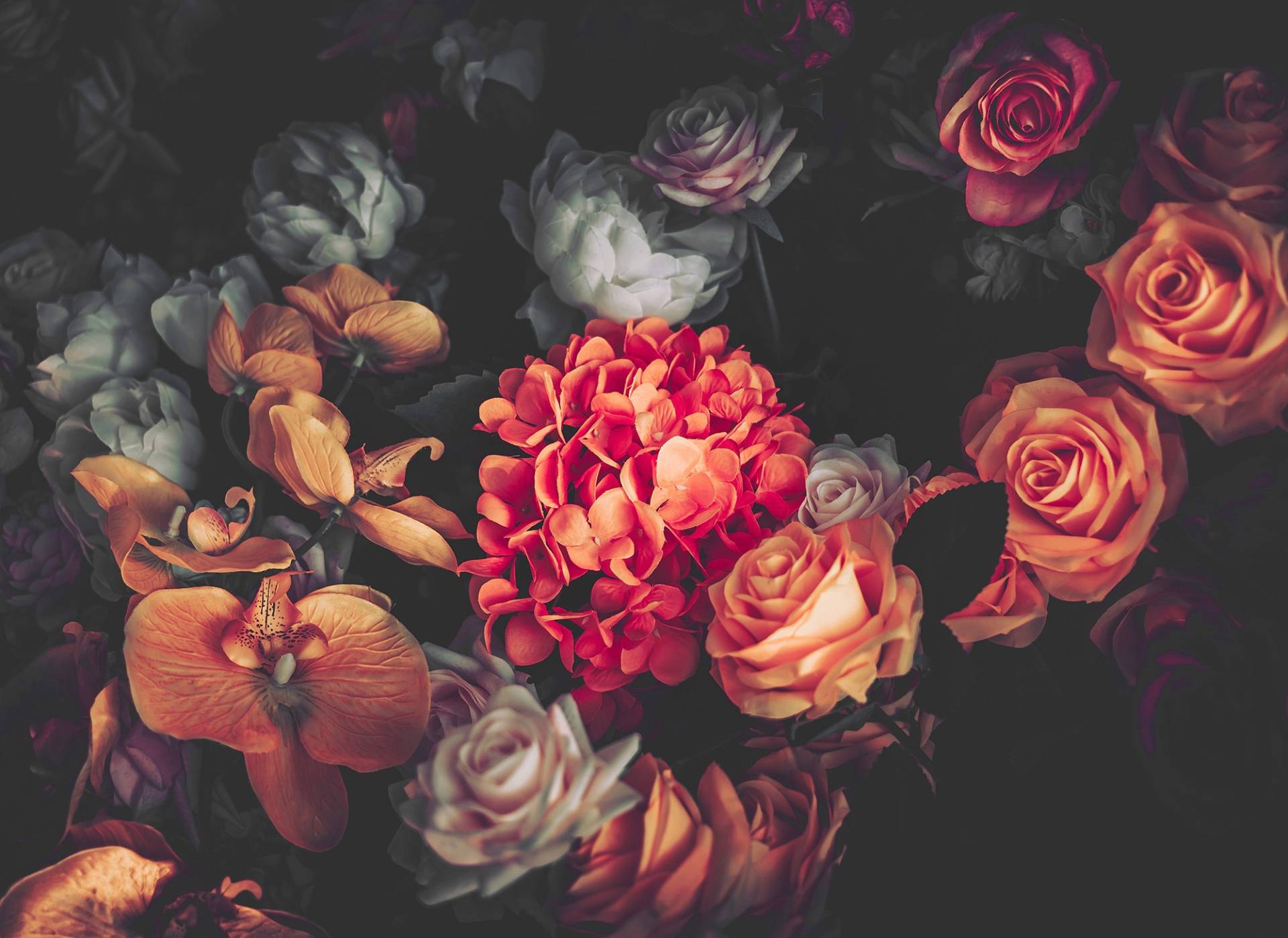 living walls Fototapete "Designwalls Romantic Flowers 1" glatt Vlies, Wand, Schräge, Decke living walls Fototapete "Designwalls Romantic Flowers 1" glatt Vlies, Wand, Schräge, Decke von Living Walls