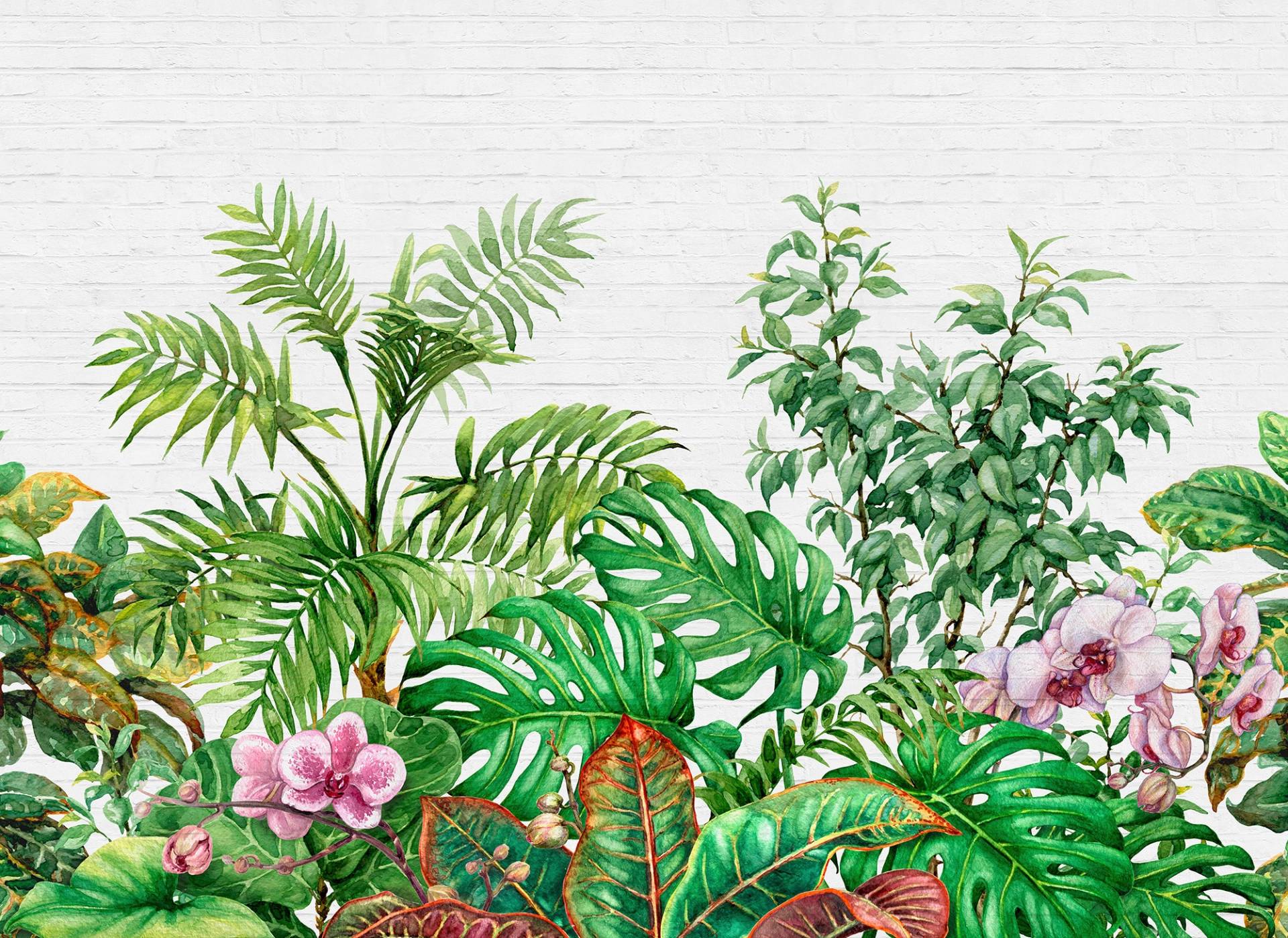 living walls Fototapete "Designwalls Tropical Wall 1" glatt Vlies, Wand, Schräge, Decke von Living Walls
