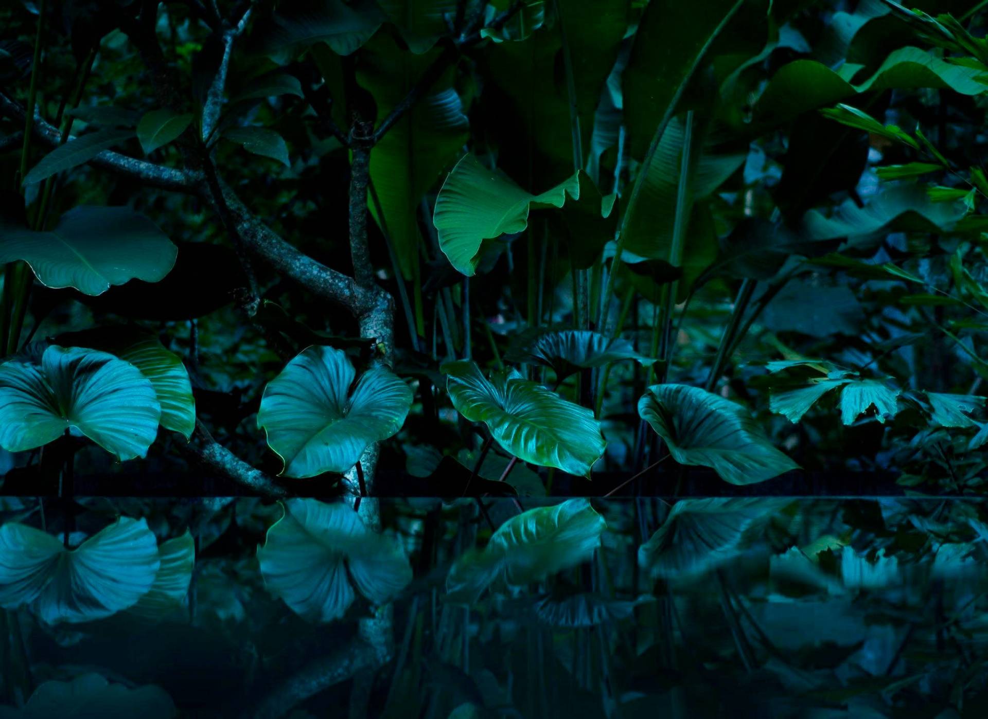 living walls Fototapete "Tropical Leafs Vlies" glatt Vlies, Wand, Schräge von Living Walls