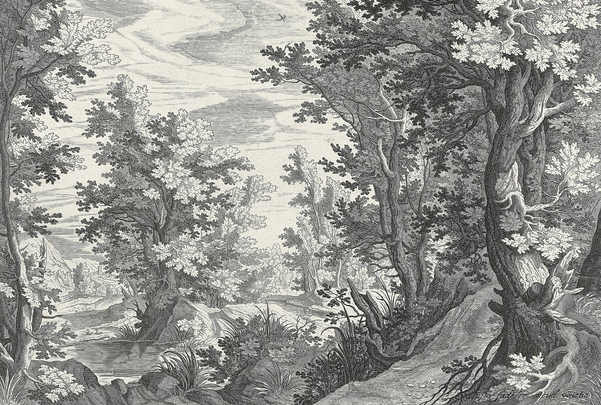 living walls Fototapete "Walls by Patel Fancy Forest" glatt Vlies, Wand von Living Walls