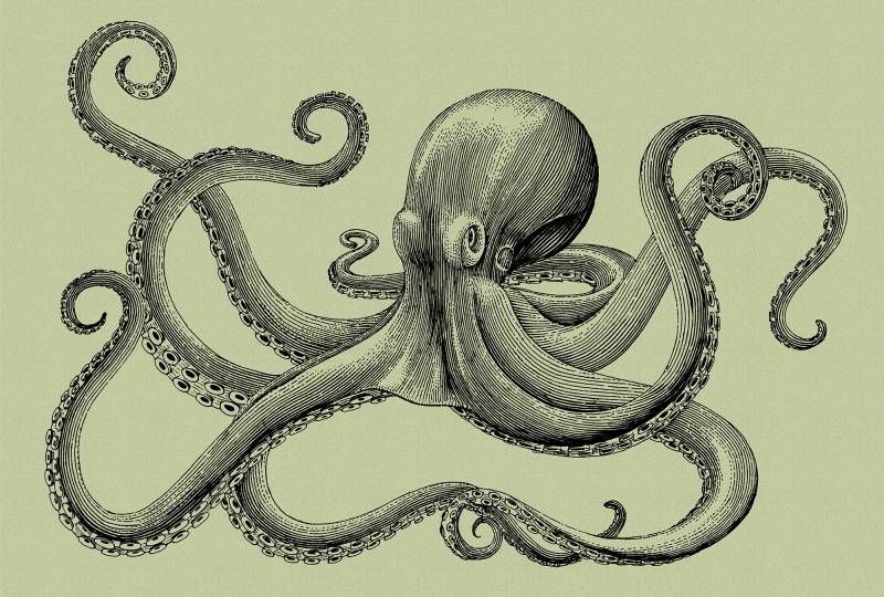 living walls Fototapete "Walls by Patel Jules 3" glatt Vlies, Wand, Schräge von Living Walls