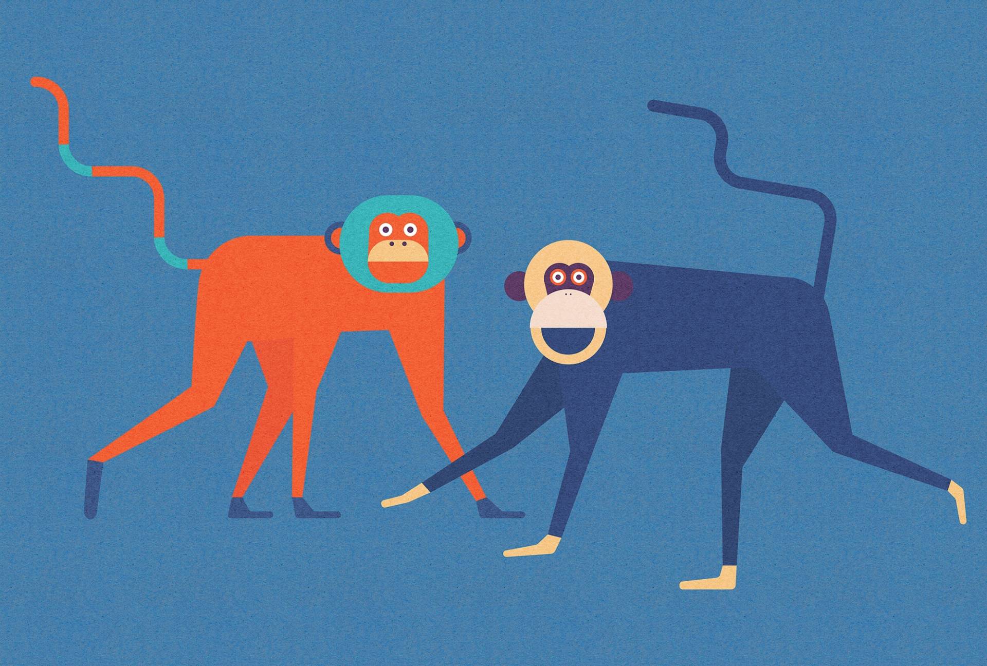 living walls Fototapete "Walls by Patel Monkey Business 2" glatt Vlies, Wand, Schräge von Living Walls