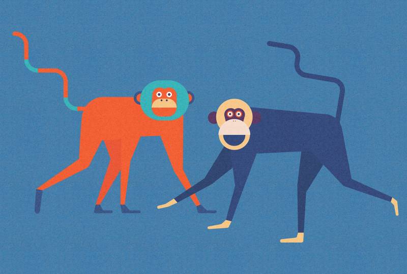 living walls Fototapete "Walls by Patel Monkey Business 2" glatt Vlies, Wand, Schräge von Living Walls