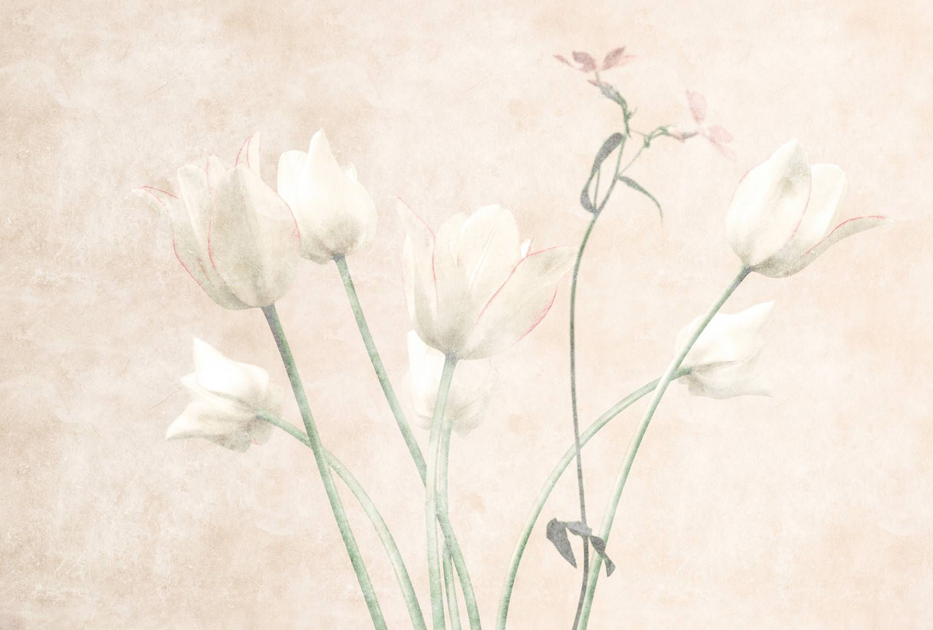 living walls Fototapete "Walls by Patel Morning Room" glatt Vlies, Wand von Living Walls