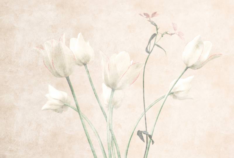 living walls Fototapete "Walls by Patel Morning Room" glatt Vlies, Wand von Living Walls