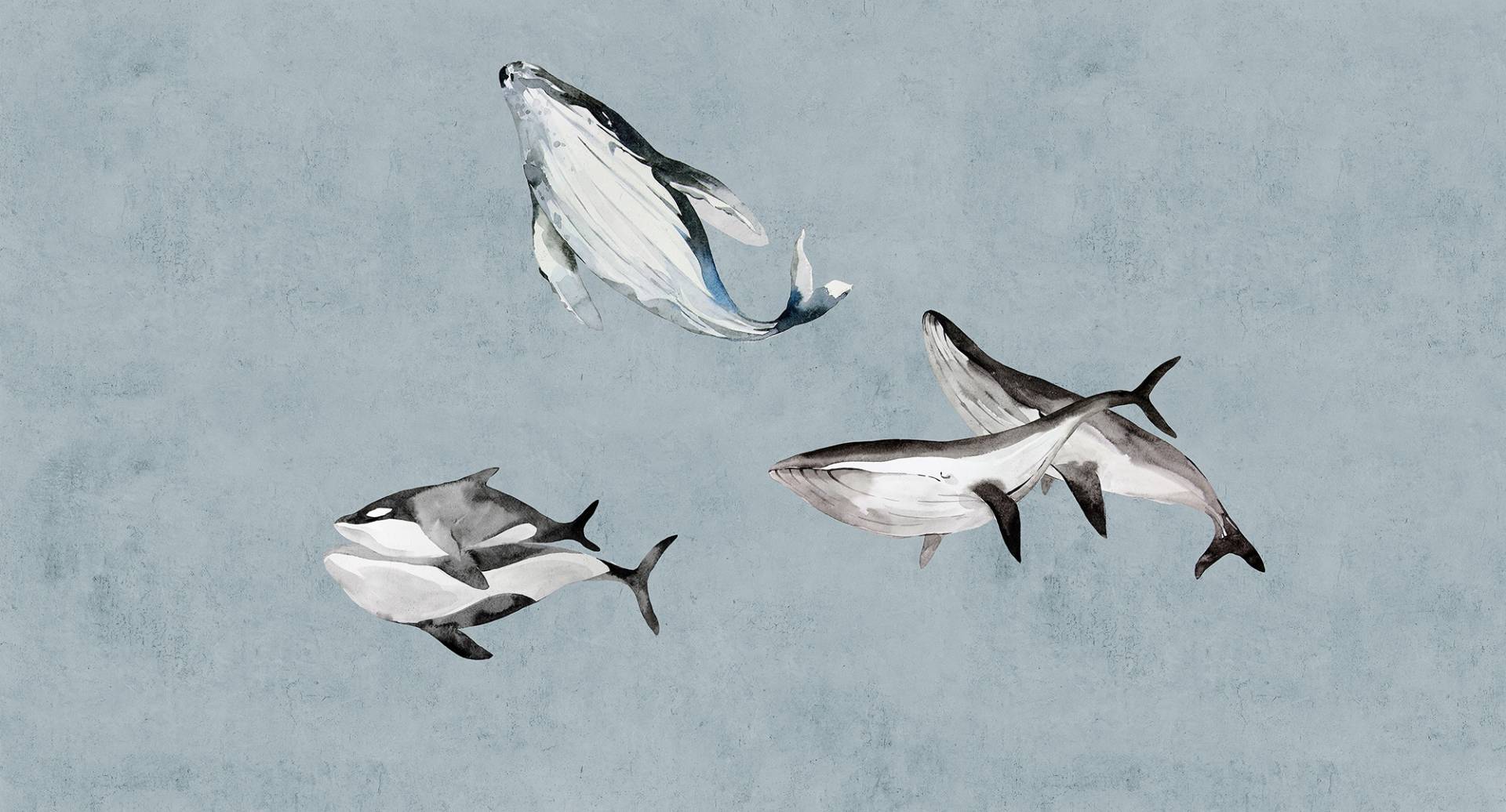 living walls Fototapete "Walls by Patel Ocean`s Five" glatt Vlies, Wand von Living Walls