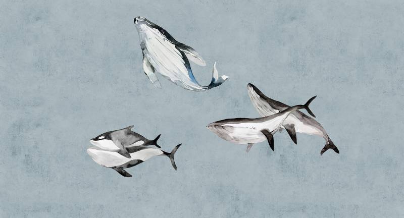 living walls Fototapete "Walls by Patel Ocean`s Five" glatt Vlies, Wand von Living Walls