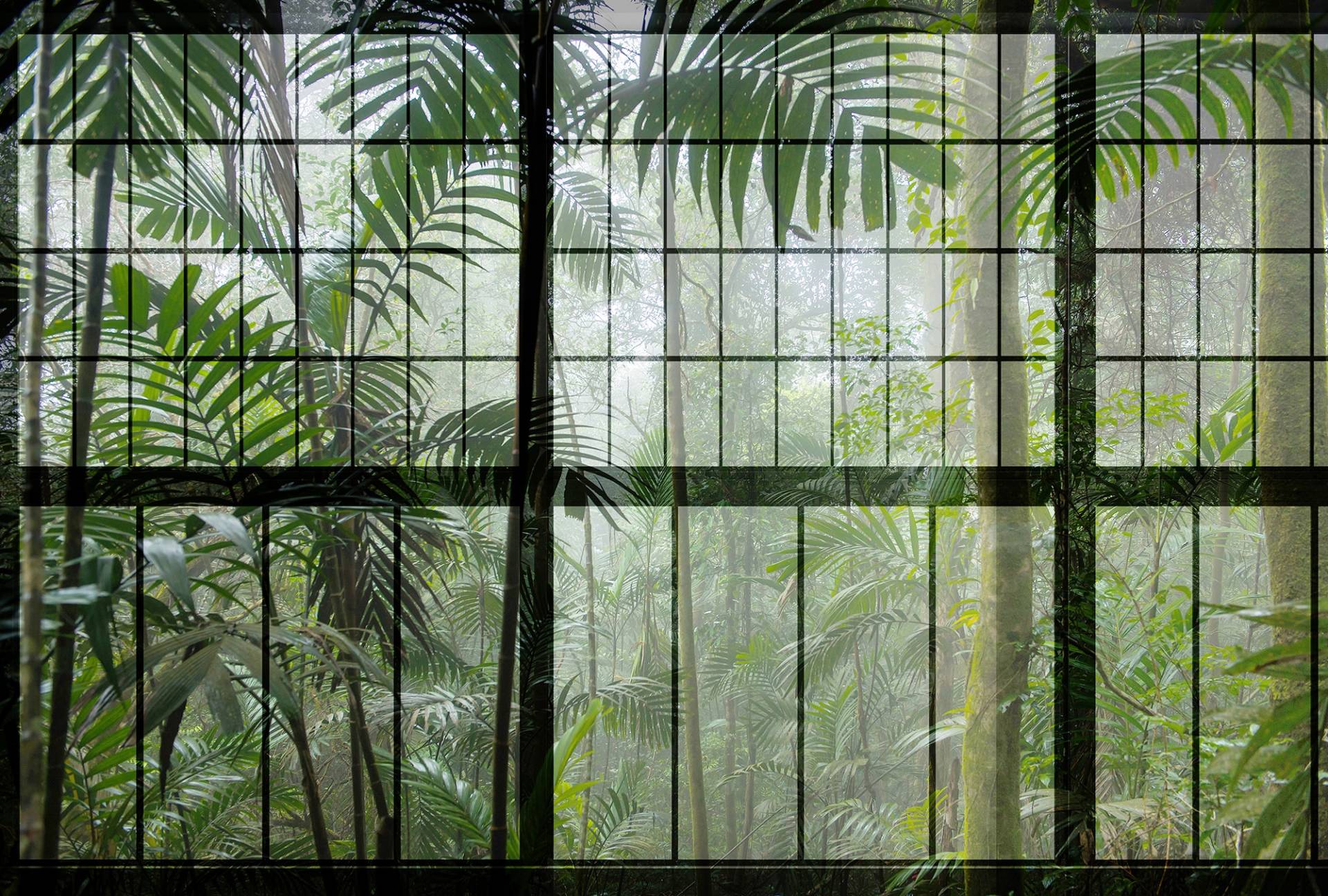 living walls Fototapete "Walls by Patel Rainforest 1" von Living Walls