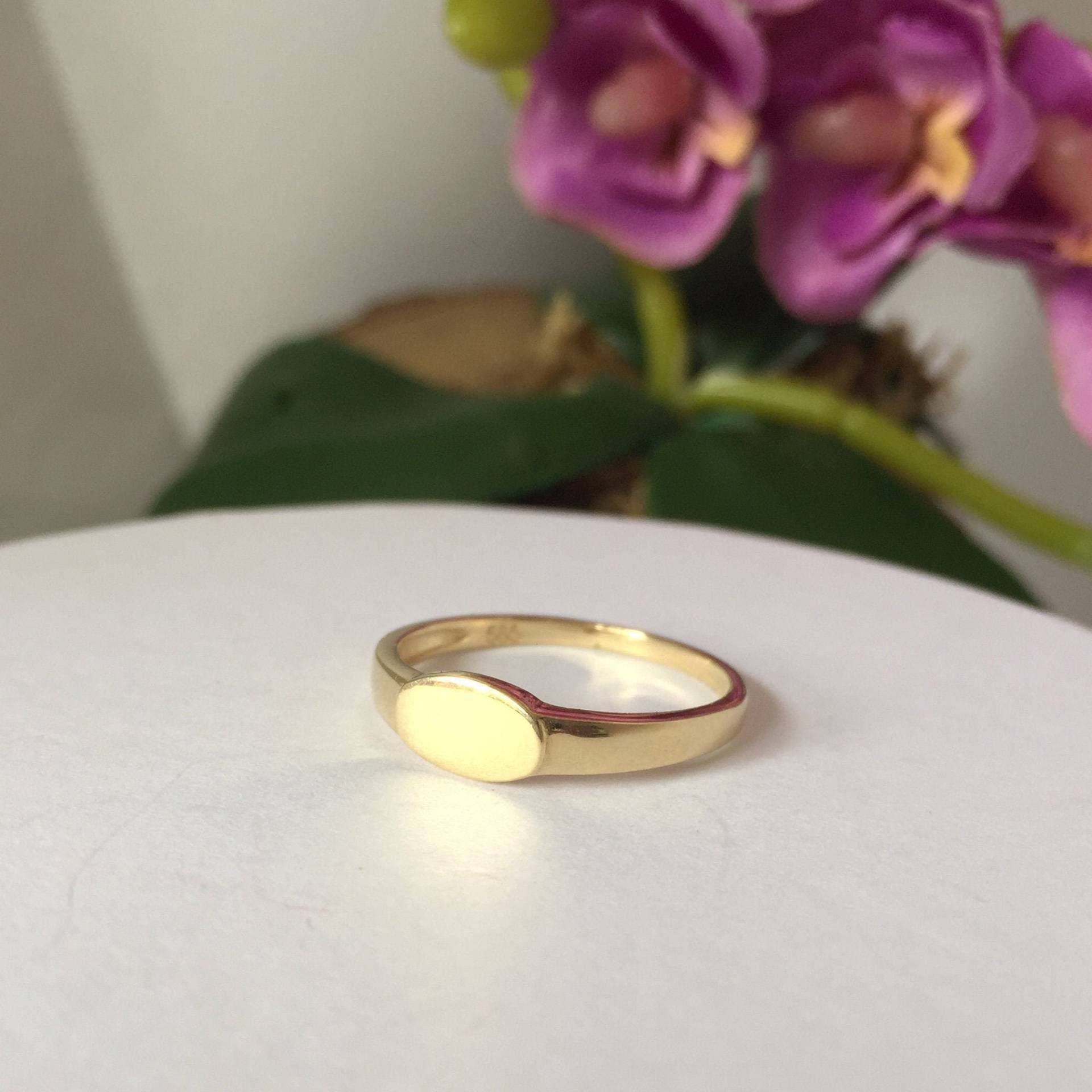 14K Solid Gold Siegelring Oval Horizontale Ost West Pinky Ring Zierliche Minimal Band Feinen Schmuck Geschenk Für Sie von LizdorJewelry
