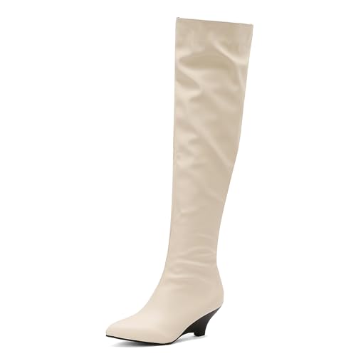 Lizoleor Klassische Keilabsatz Pointed Toe Damen Overknee Stiefel Ohne Verschluss Höhe Ferse Solid Color Concise Long Reitstiefel Beige Gr 42 EU/44Cn von Lizoleor