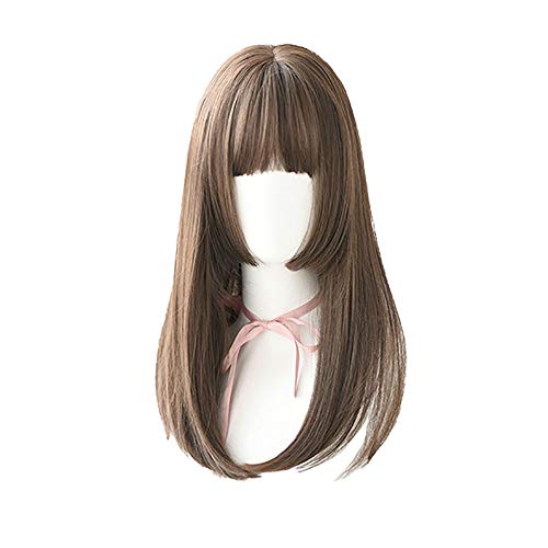 Japaner Hime Cut Perücken Lange Gradient Braune gerade Perücke mit Pony für Mädchen Frauen Synthetische Haare Lolita Cosplay Perücke,#02 von Lllunimon