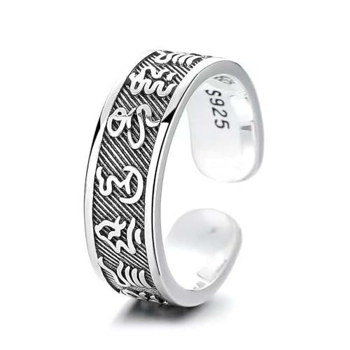 Lllunimon 925 Sterling Silber Fengshui Ring Lucky Talisman Amulett Ring Öffnungsband Ring Schmuck Geschenk für Männer Frauen Familie Freunde von Lllunimon