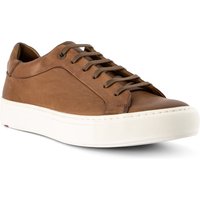 LLOYD Herren Sneaker braun, cognac Glattleder LLOYD Herren Sneaker braun, cognac Glattleder von Lloyd