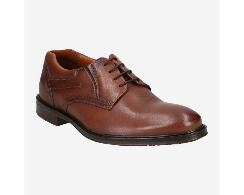 Lloyd Lloyd 17-387-03 KOS, Schnürschuhe in Braun für Herren Schnürschuh von Lloyd