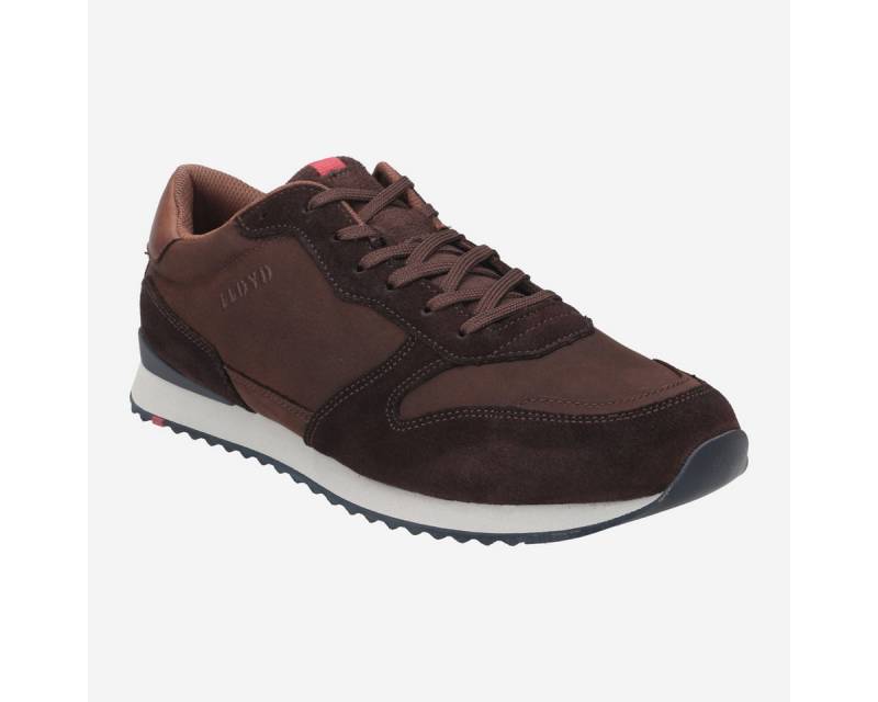 Lloyd Lloyd 23-905-12 EDMOND STRA, Sneaker in Braun für Herren Sneaker von Lloyd