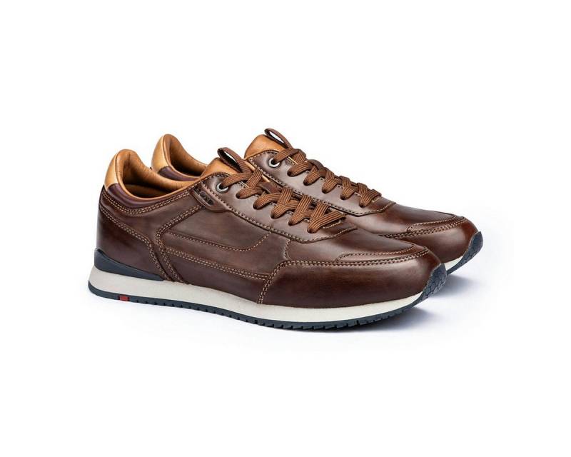 Lloyd Lloyd 24-903-04 EDITTA, Sneaker in Braun für Herren Sneaker von Lloyd