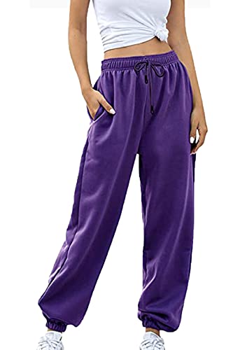 Loalirando Chic Damen Sweatpants Warme Freizeithose Jogginghose Winter Herbst Verdickte Sporthosen Jogger Hose Traininghose mit Tasche Streetwear (Lila, 2XL) von Loalirando