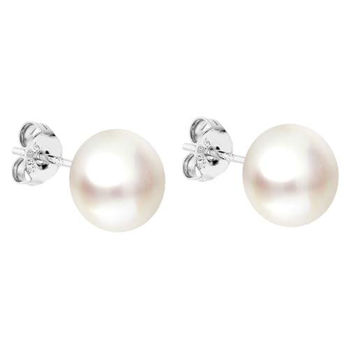 LÖB Premium Damen Perlenohrringe 925 Sterling Silber Rhodiniert Stecker mit echten Zuchtperlen Perlen Weiß 8mm Rund Klein Ohrringe Ohrstecker Perlenohrstecker von Löb