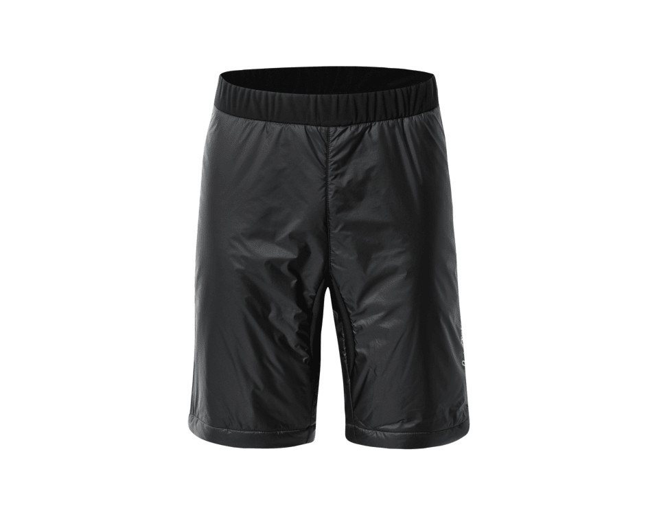 Löffler Funktionsshorts M SHORTS PL60 von Löffler