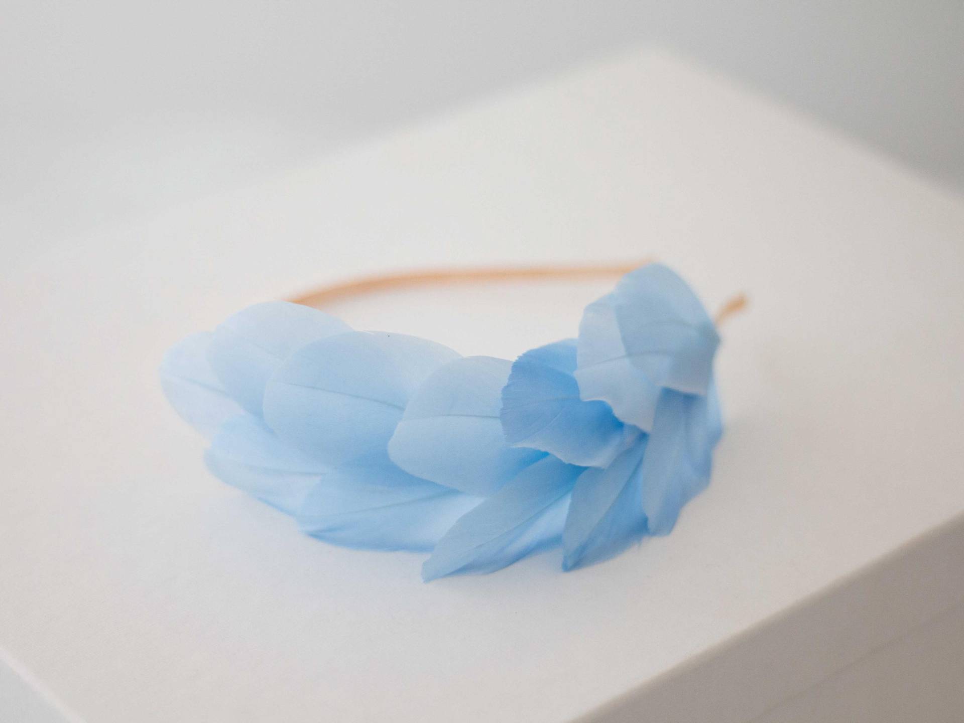 Haarreif Mit Federn, Kopfschmuck Feder Haarreif Haarreif Mit Federn, Kopfschmuck Feder Haarreif von LolaWhiteShop
