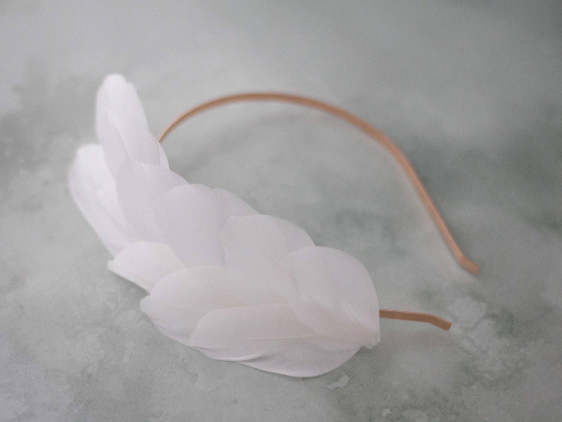 Haarreif Mit Federn, Kopfschmuck Feder Haarreif Haarreif Mit Federn, Kopfschmuck Feder Haarreif von LolaWhiteShop