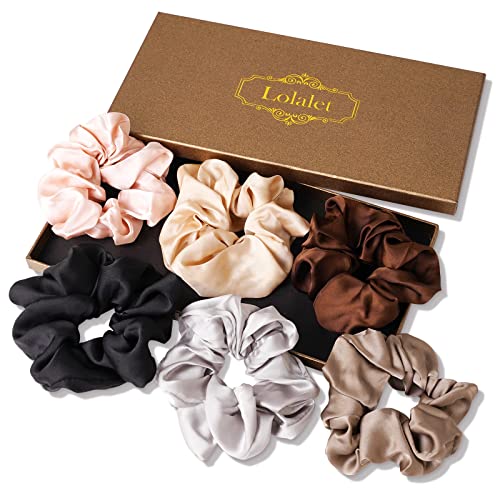 (6 Stück) Lolalet Haargummis Seide Scrunchies Satin für Damen, Haargummi Weich Elastisch Silk Skrunschis Groß für Damen Frauen Mädchen 6 Farben -Schwarz,Braun,Grau,Champagner,Hellpink,Silber von Lolalet