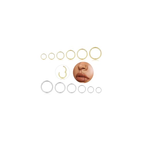 Longbeauty 12 Stück Nasenpiercing Hoops Nasenring Nostril Septum Piercing Ringe Set Septum Clicker Knorpel Piercing Ohr für Damen Herren, Silber&Gold, 20G (0.8MM) von Longbeauty