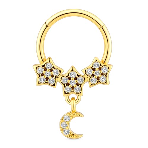 Longbeauty 16G Dangle Septum Ringe Piercing Schmuck für Damen Herren Nasenpiercing Rings 316L Edelstahl CZ Cartilage Helix Daith Ohrringe, Mond, Gold, 10MM Longbeauty 16G Dangle Septum Ringe Piercing Schmuck für Damen Herren Nasenpiercing Rings 316L Edelstahl CZ Cartilage Helix Daith Ohrringe, Mond, Gold, 10MM von Longbeauty