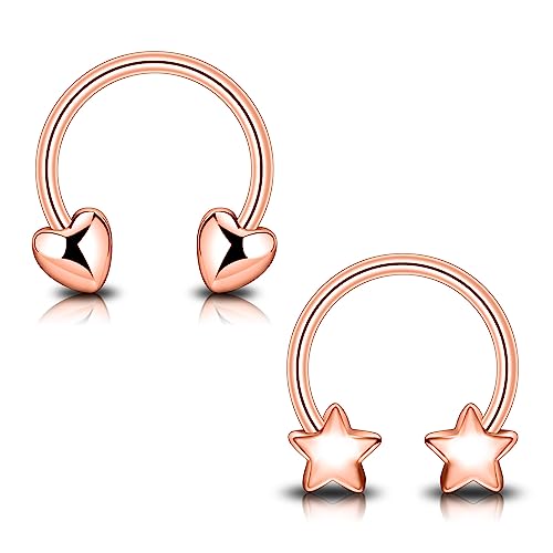 Longbeauty Hufeisenringe Edelstahl 16G Creolen Augenbrauen Ohrringe Lippe Nasenring Septum Helix Tragus Knorpel Piercing Damen Herren, 2 PCS, Rosegold Longbeauty Hufeisenringe Edelstahl 16G Creolen Augenbrauen Ohrringe Lippe Nasenring Septum Helix Tragus Knorpel Piercing Damen Herren, 2 PCS, Rosegold von Longbeauty
