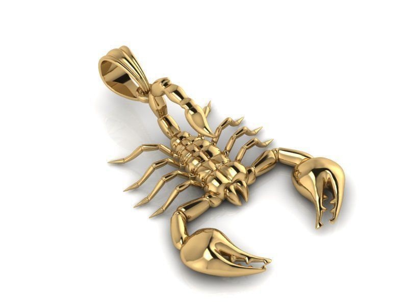 Pandinus Skorpion Anhänger 10K/14K/18K Weiß, Gelb, Rose Grün Gold, Vergoldet & Silber Tier Biker Punk Gothic Sternzeichen Charme Halskette von LoniDesignGroup