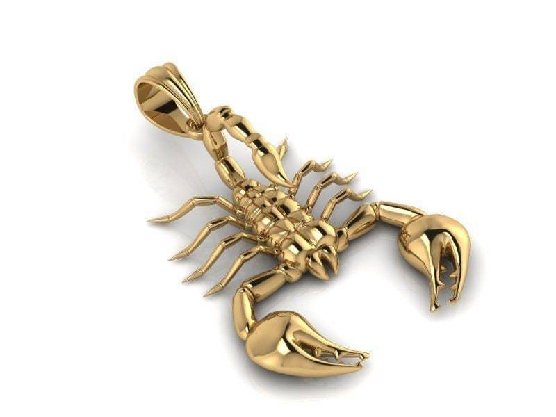 Pandinus Skorpion Anhänger 10K/14K/18K Weiß, Gelb, Rose Grün Gold, Vergoldet & Silber Tier Biker Punk Gothic Sternzeichen Charme Halskette von LoniDesignGroup