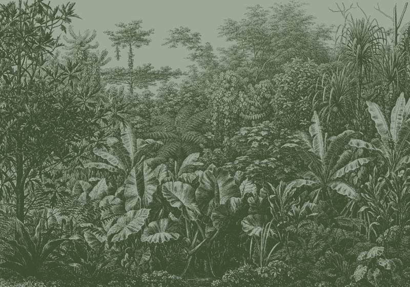 LOOKS by Wolfgang Joop Fototapete "Rainforest" naturalistisch texturiert 350x270cm von Looks By Wolfgang Joop