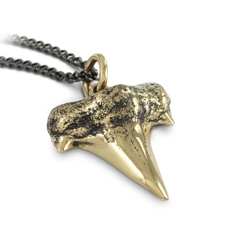 Haifischzahn Halskette - Bronze Anhänger Fossile von LostApostle