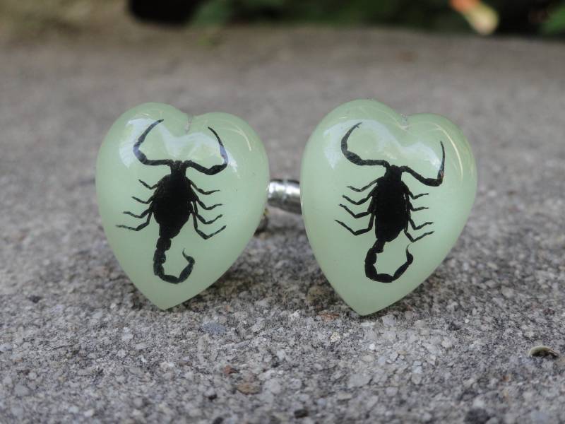 Glow in The Dark Scorpion Manschettenknöpfe, Anstecknadeln, Krawattennadeln, Ohrringe, Schmuck Und Accessoires von LoudCufflinks