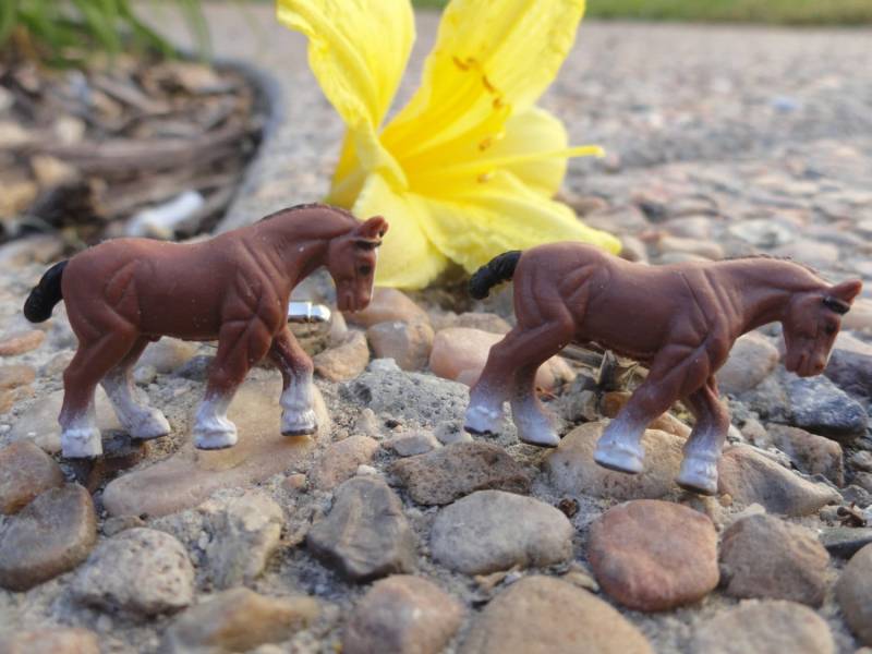 Pferde Manschettenknöpfe, Reversnadeln, Krawattenstangen, Ohrringe, Schmuck Und Accessoires von LoudCufflinks