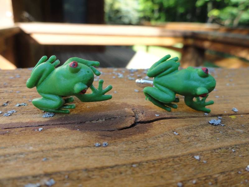 Rotäuge Frosch Manschettenknöpfe, Reversnadeln, Krawattenstangen, Ohrringe, Schmuck Und Accessoires von LoudCufflinks