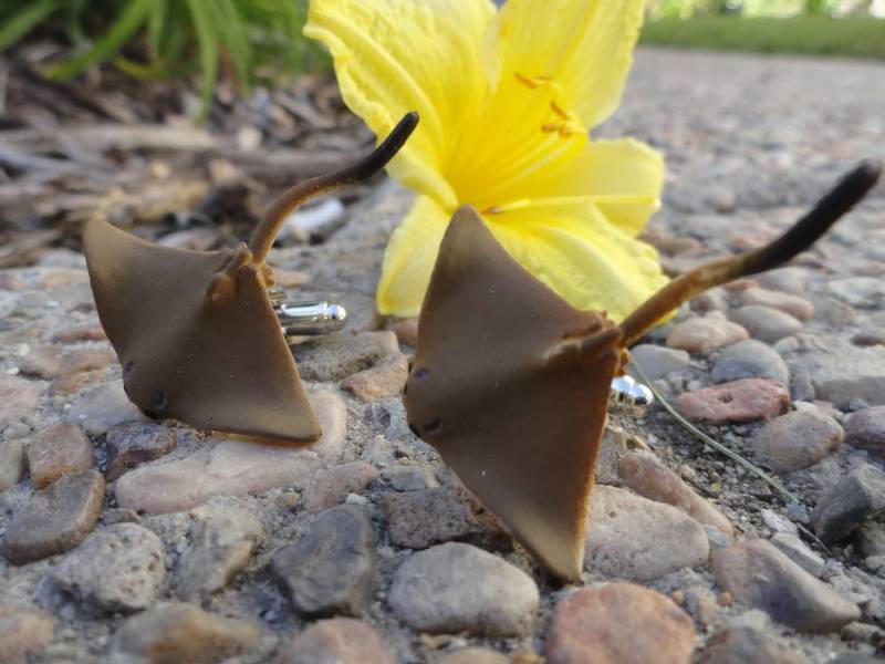 sting Ray Manschettenknöpfe, Reversstifte, Krawattenstangen, Ohrringe, Schmuck Und Accessoires von LoudCufflinks