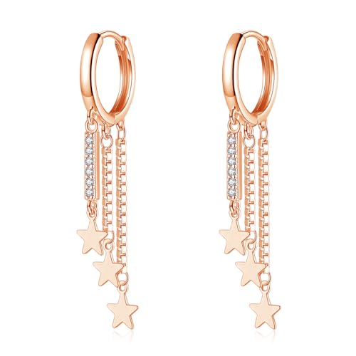 Loutade Ohrringe Hängend Silber Creolen, 925 Sterling Silber Ohrringe Quaste Baumeln, Rose Gold Stern Quaste Baumeln Ohrringe, Knorpel Schlafen Rose Gold Creolen Ohrringe Hängende für Damen Frauen von Loutade