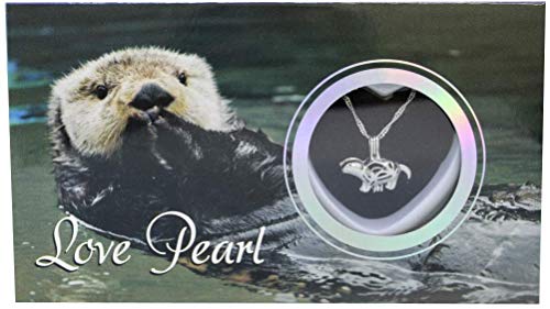 Love Wish Pearl Kit Kette Halskette Kit Anhänger Zuchtperle im Kit Set mit Edelstahlkette 40,6 cm, Zirkonia Love Wish Pearl Kit Kette Halskette Kit Anhänger Zuchtperle im Kit Set mit Edelstahlkette 40,6 cm, Zirkonia von Love Pearl