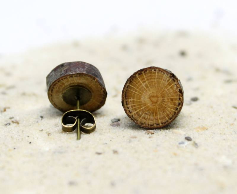 Holzohrstecker - Astscheiben Aus Buchenholz Geölt Edelstahlohrstecker Baumscheibe Astscheibe von LoveAndCraftsShop
