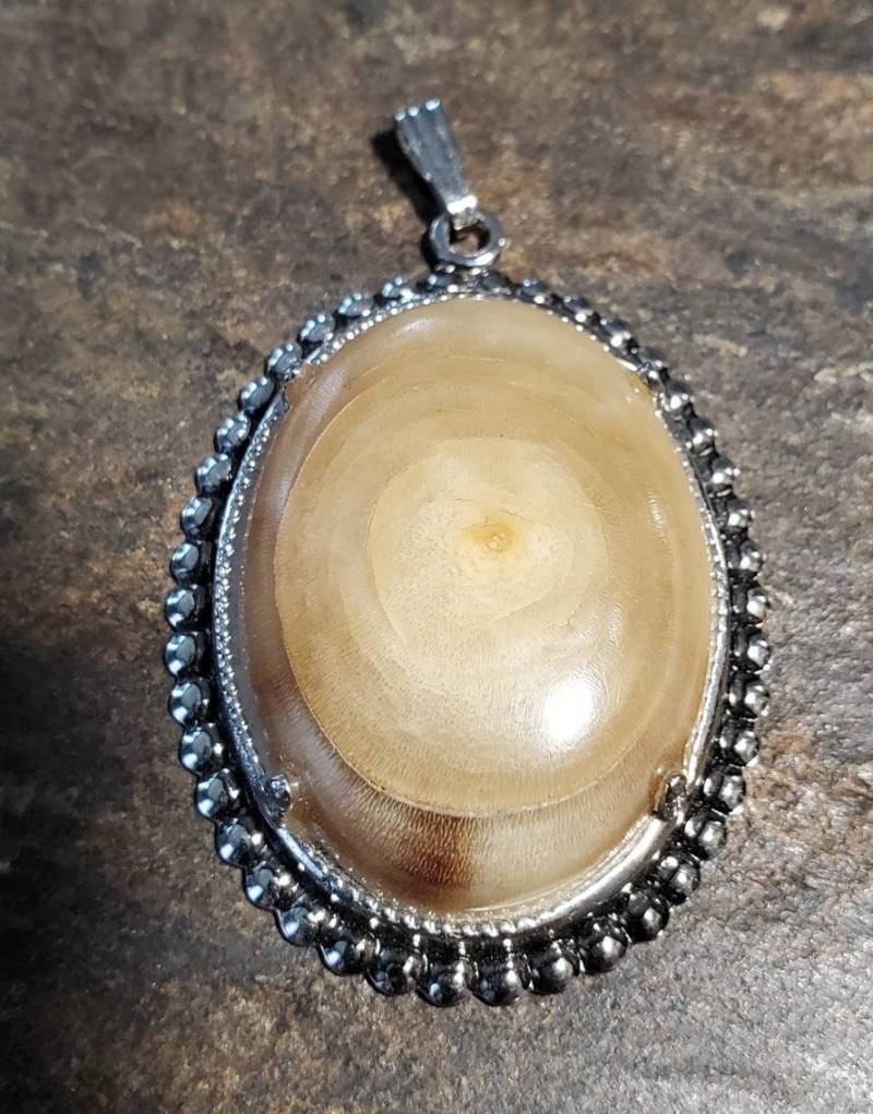 Fossil in Silberfassung von LoveRocksLapidary