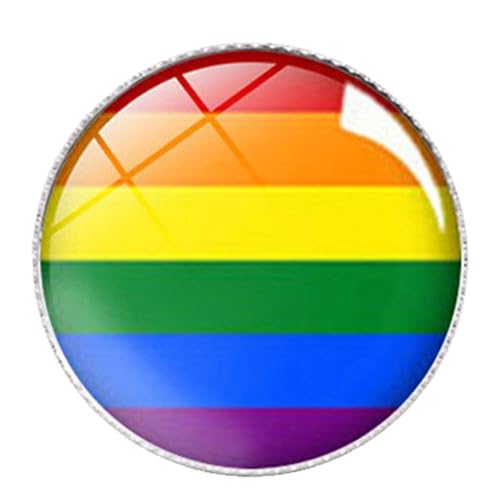 Gay Lesbian Pride Brosche Pin Lgbtq Anstecknadel Regenbogen Flagge Abzeichen Krawattennadel Dekoration Für Kleidung Und Taschen von Lpitoy