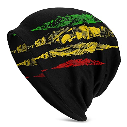 Lsjuee Jamaikanische Rasta Reggae Judah Lion Beanie Mütze für Männer/Frauen Slouchy Beanie Skull Cap Winter Stretch Acryl Strickmütze von Lsjuee