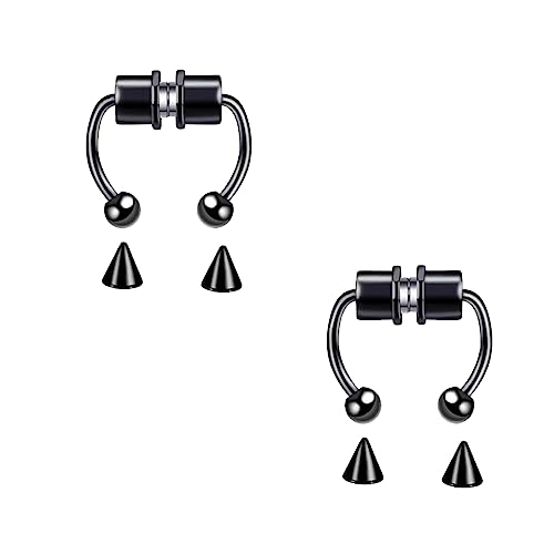 LuLiyLdJ 2er-Pack magnetische Septum-Nasenringe, Hufeisen-Nasenringe aus Edelstahl, wiederverwendbare modische Nasenringe, nicht durchdringende Creolen, Körperpiercing-Schmuck für Männer und Frauen von LuLiyLdJ
