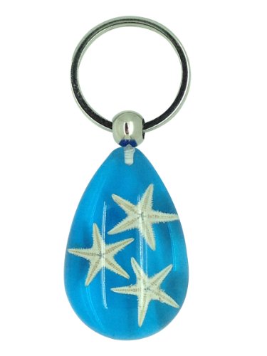 Luck Trader Echt Seestern Blau Heilung Schlüsselanhänger Luck Trader Echt Seestern Blau Heilung Schlüsselanhänger von Luck Trader