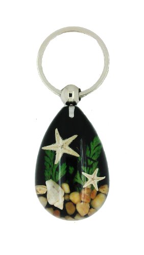Luck Trader Echt Seestern und Muscheln Schlüsselanhänger in schwarz Luck Trader Echt Seestern und Muscheln Schlüsselanhänger in schwarz von Luck Trader
