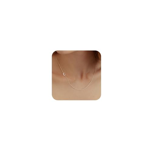 LuckFairy Initialen-Halsketten für Frauen, zierliche Gold-Buchstaben-Halskette, 14 Karat vergoldet, seitlich, Initialen-Halskette, niedliche Gold-Namens-Halskette, einfache Gold-Choker-Halsketten für LuckFairy Initialen-Halsketten für Frauen, zierliche Gold-Buchstaben-Halskette, 14 Karat vergoldet, seitlich, Initialen-Halskette, niedliche Gold-Namens-Halskette, einfache Gold-Choker-Halsketten für von LuckFairy