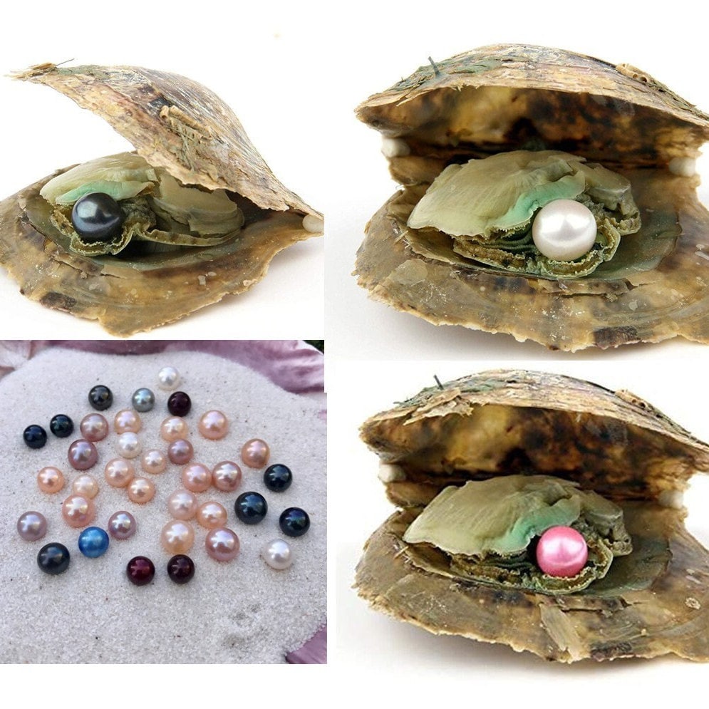 10 Akoya Oysters - Perle Innen 10 Akoya Oysters - Perle Innen von LuckyOysterLady