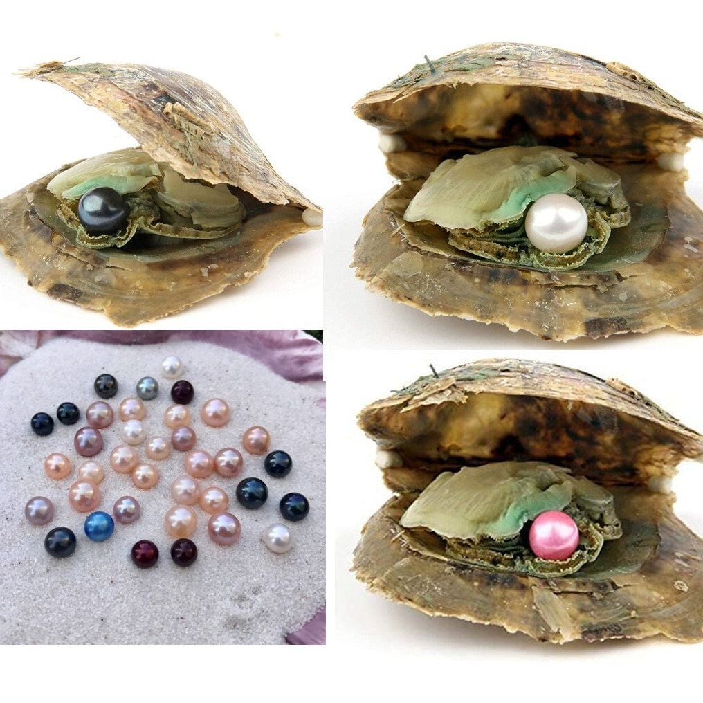 Akoya Saltwater Oyster - Perle Innen Akoya Saltwater Oyster - Perle Innen von LuckyOysterLady